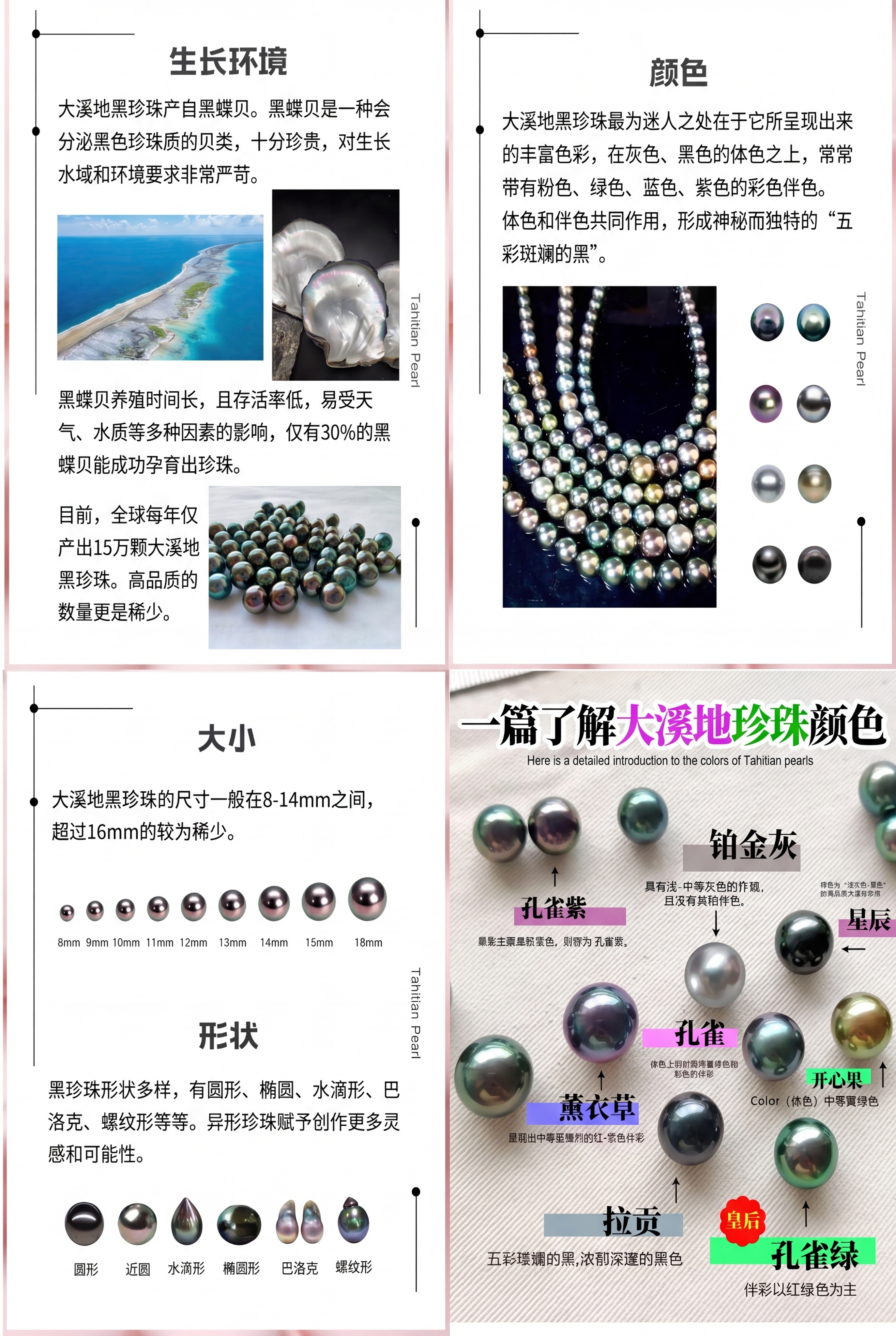 [整合图] 将四张珍珠科普图按A4纸大小排版，保留每张图的全部… - 图片创意预览