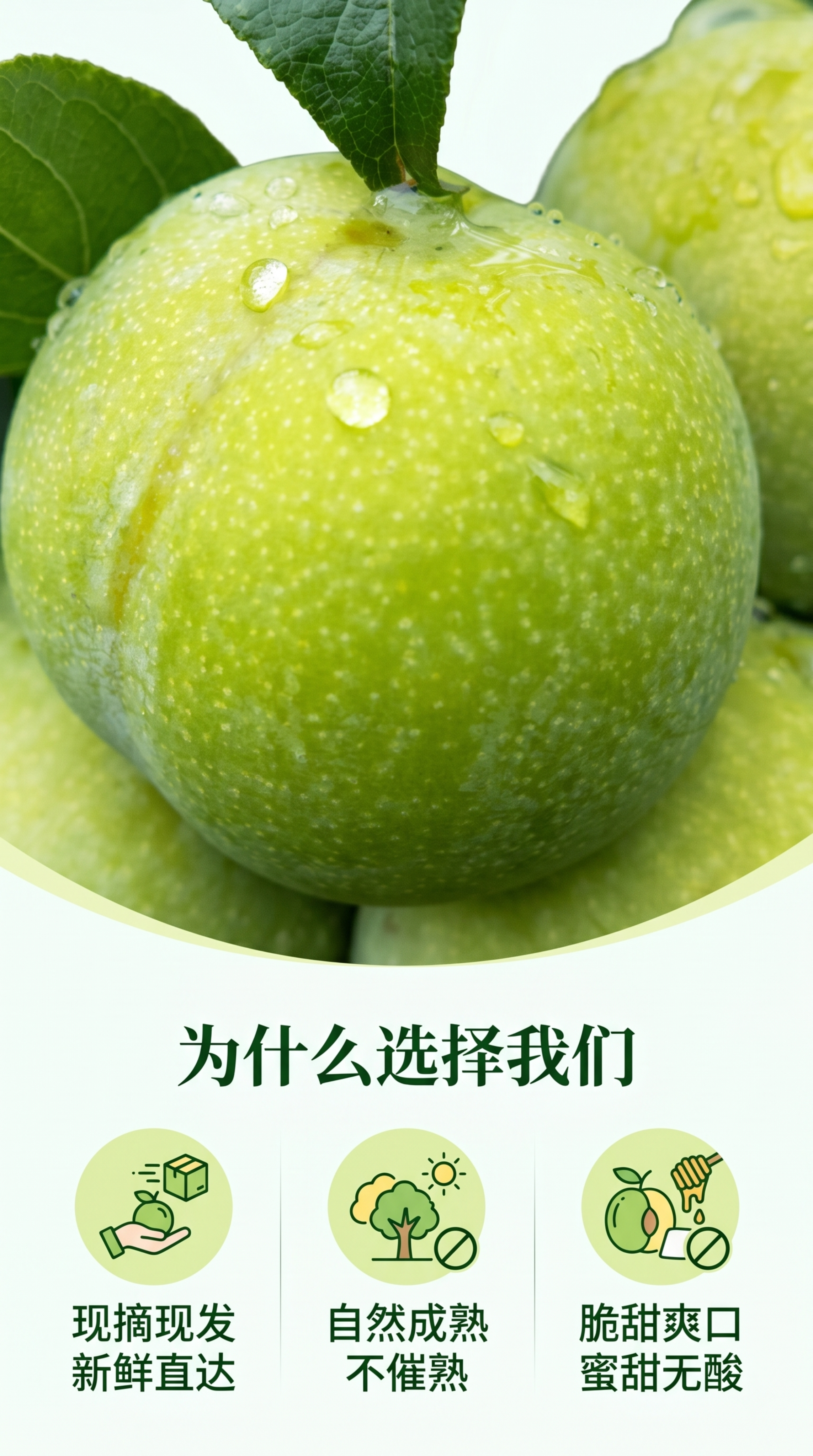 [第4屏] 蜂糖李核心卖点拆解，介绍三大核心理由。本屏使用【图… - 图片创意预览