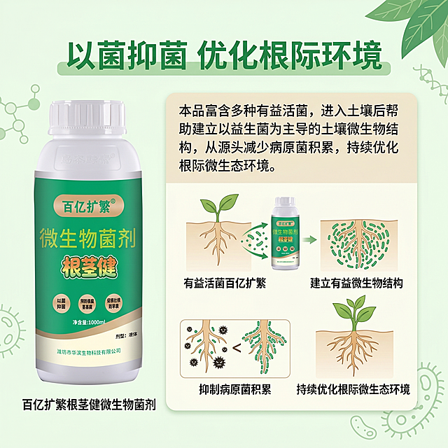 [第5屏] 以菌抑菌功效深度解析页，百亿扩繁根茎健微生物菌剂。本屏使用【图1】小图辅助展示产品。
[氛围/风格] 专业科普风格，绿色清新，图文结合，清晰可信。
[元素布局] 顶部主标题，左侧放置产品小图，右侧放置功效说明文字和原理卡，产品占比约30%，文字区域占比约65%，排版平衡。
[光影质感] 均匀柔光，产品清晰，文字锐利，边缘层次分明。
[配色色系] 全局底色 #F0F9F0，主色绿色，辅助色浅米色信息卡。
[视角构图] 左图右文，水平排列，视觉平衡，阅读流畅。
[文字版式] 顶部主标题「以菌抑菌 优化根际环境」，左侧产品小图，右侧信息卡写：本品富含多种有益活菌，进入土壤后帮助建立以益生菌为主导的土壤微生物结构，从源头减少病原菌积累，持续优化根际微生态环境。文字排版舒朗，移动端清晰可读。
[比例分辨率] 1:1 方图，4K分辨率，文字清晰可辨，高清画质。
[负向提示词] 产品变形，文字错乱，颜色偏差，布局失衡，文字过小