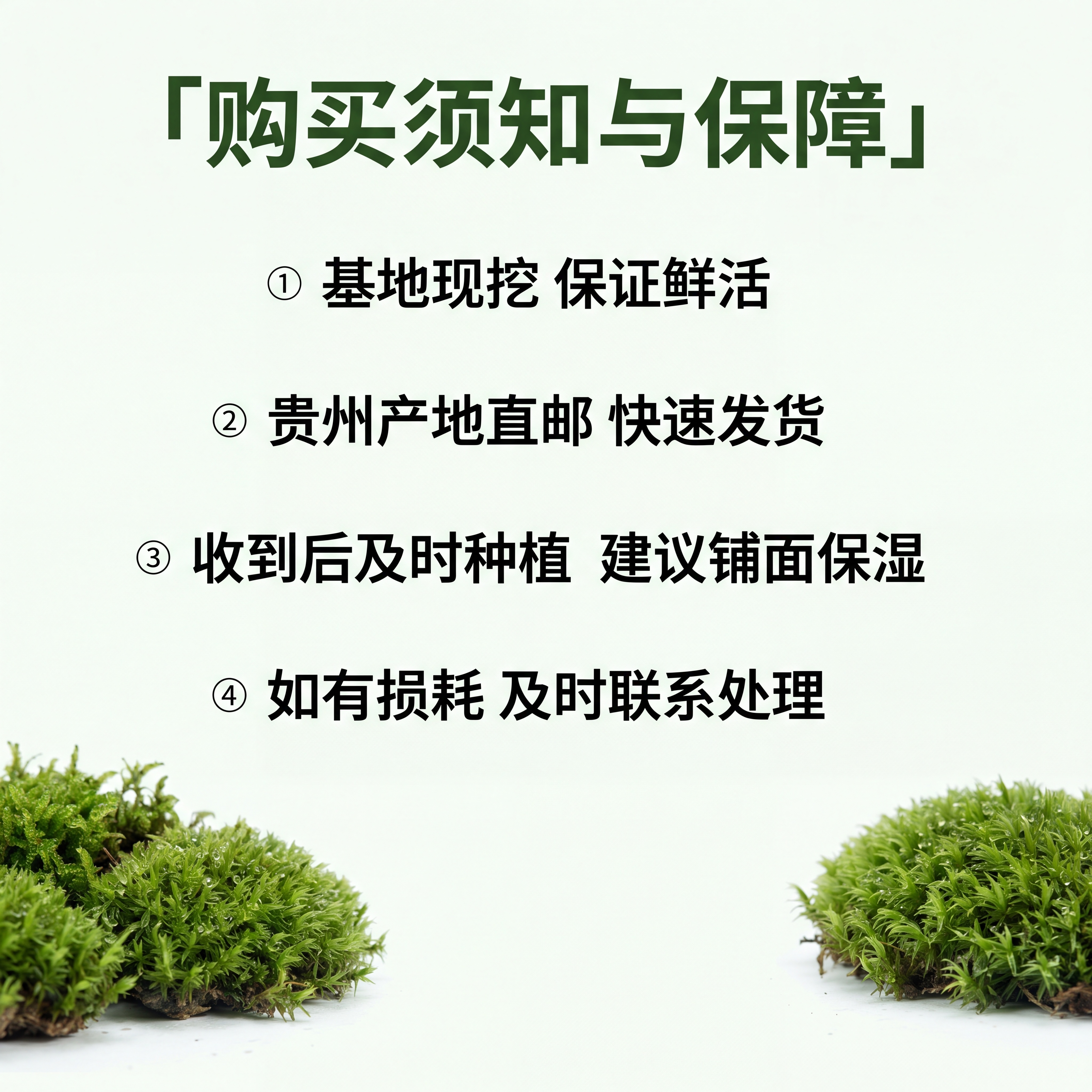 [第8屏] 售后保障说明屏，告知购买须知与售后保障。 [氛围/… - 图片创意预览