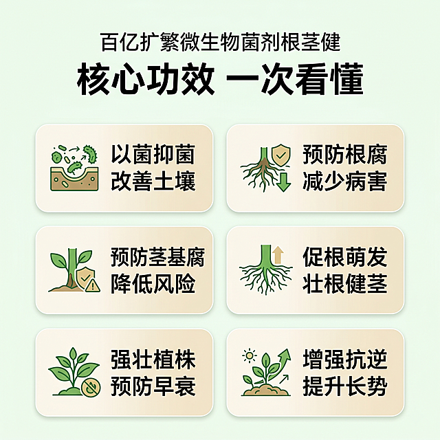 [第2屏] 核心卖点总览页，百亿扩繁微生物菌剂根茎健核心功效展示。
[氛围/风格] 简约清晰专业农资风，绿白搭配，干净通透。
[元素布局] 页面顶部放置主标题，下方排列6个圆角icon卖点卡片，每排2张共3排，卡片背景浅米色，配绿色小图标，文字清晰可读，卡片之间留足间距。
[光影质感] 均匀柔光，无明显硬阴影，文字卡片清晰锐利，层次分明。
[配色色系] 全局底色 #F0F9F0，主色绿色，辅助色浅金色，文字黑色。
[视角构图] 平面排版，居中对齐，信息从上到下依次阅读。
[文字版式] 顶部主标题「核心功效 一次看懂」，6个卖点卡片分别为：「以菌抑菌 改善土壤」、「预防根腐 减少病害」、「预防茎基腐 降低风险」、「促根萌发 壮根健茎」、「强壮植株 预防早衰」、「增强抗逆 提升长势」，每个卖点标题配对应小图标，文字大小适中移动端清晰可读。
[比例分辨率] 1:1 方图，4K分辨率，文字清晰可辨，高清画质。
[负向提示词] 变形，水印，文字错乱，文字过小，背景杂乱，颜色偏差