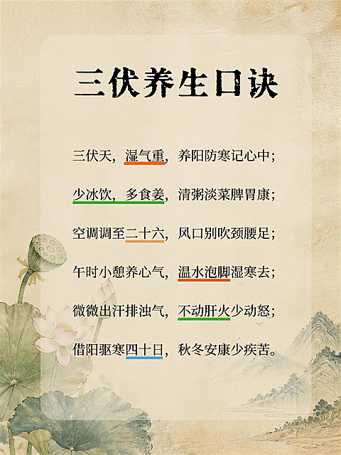 三伏养生顺口口诀养生知识科普指南中式感小红书封面