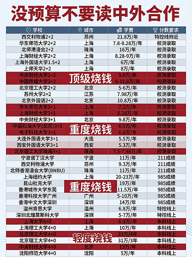 修改这张中外合作办学学费信息图，更换风格样式，保持图片比例为3:4，改成简约风格，整体简洁明了，保留全部学校、城市、学费、分数要求的表格文字信息，保留标题和分级标注