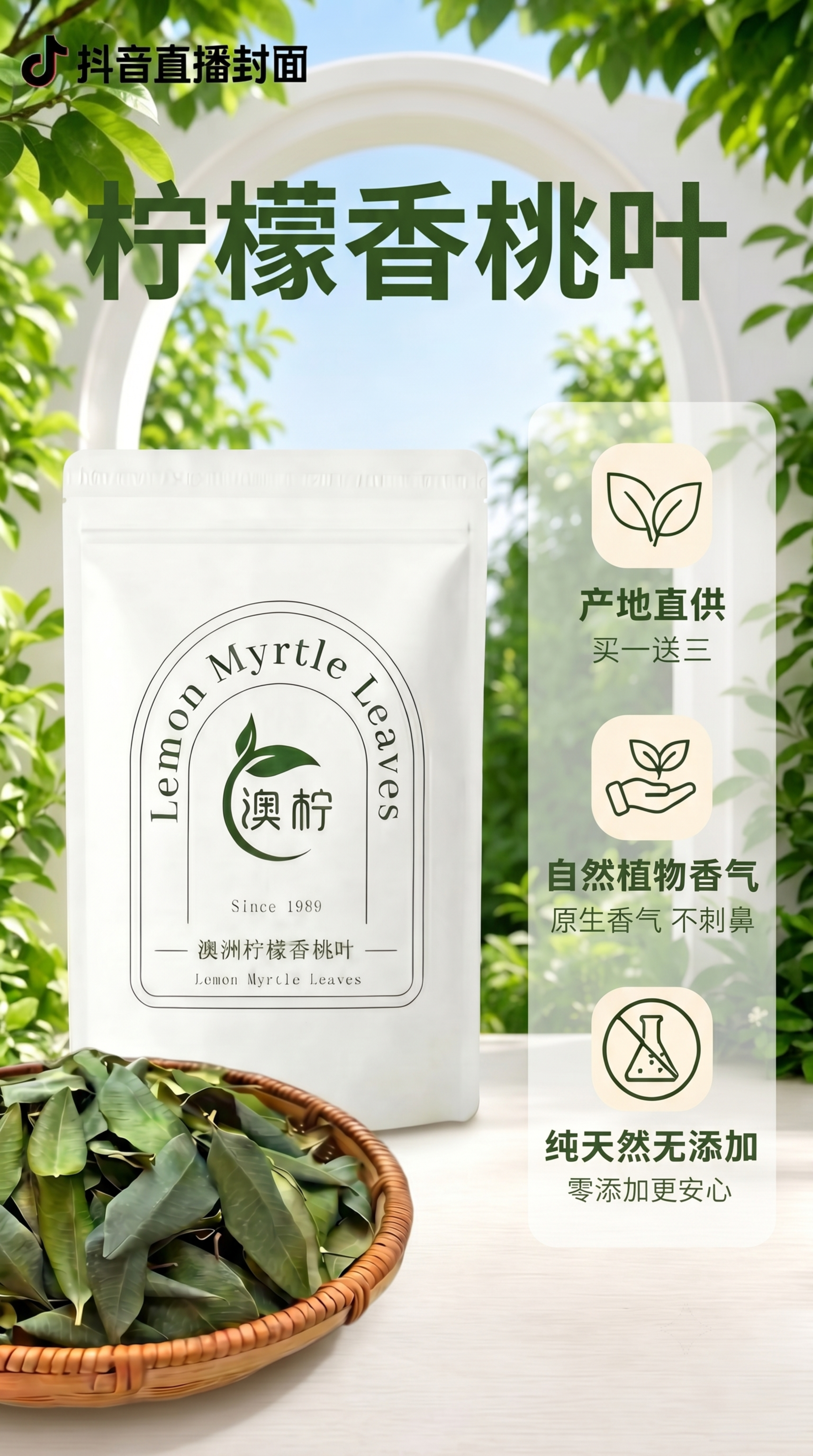 未命名 - 图片创意预览