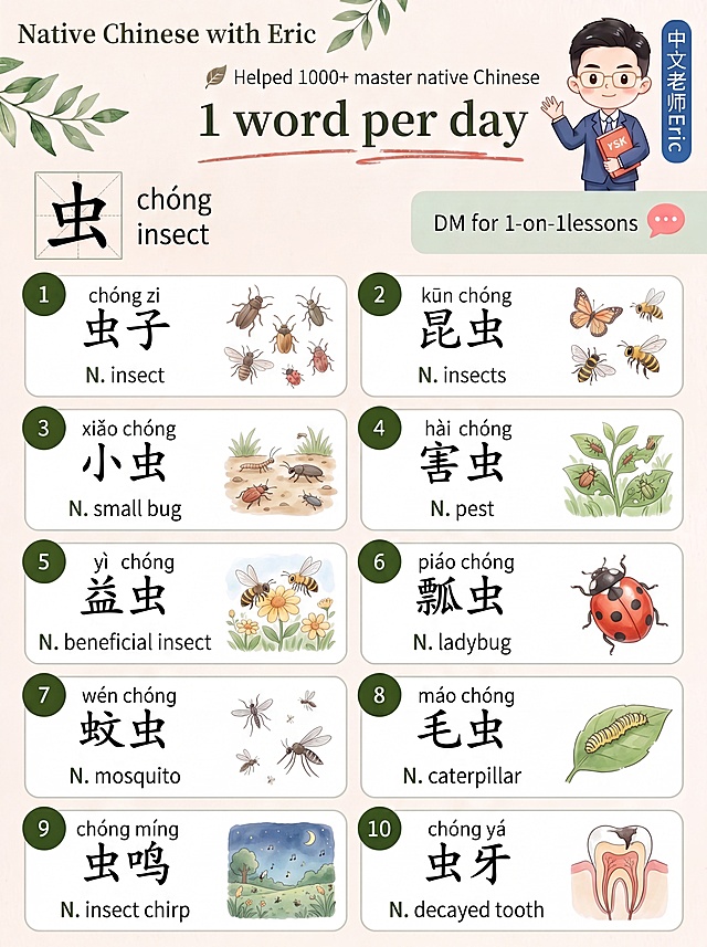 完全复刻参考图的风格、布局和配色，生成汉字“虫（chóng）”的汉语学习知识卡片，保持顶部“Native Chinese with Eric 1 word per day”，右上角卡通男老师和“中文老师Eric DM for 1-on-1lessons”，米色背景和绿叶装饰。内容区包含：
1. 虫子 chóng zi N. insect，搭配常见小昆虫卡通水彩插画
2. 昆虫 kūn chóng N. insects，搭配蝴蝶蜜蜂益虫合集水彩插画
3. 小虫 xiǎo chóng N. small bug，搭配地面爬行细小虫子水彩插画
4. 害虫 hài chóng N. pest，搭配破坏绿植的田间害虫水彩插画
5. 益虫 yì chóng N. beneficial insect，搭配帮助授粉的有益昆虫水彩插画
6. 瓢虫 piáo chóng N. ladybug，搭配七星瓢虫特写水彩插画
7. 蚊虫 wén chóng N. mosquito，搭配夏季小飞蚊虫水彩插画
8. 毛虫 máo chóng N. caterpillar，搭配绿叶上爬行的毛毛虫水彩插画
9. 虫鸣 chóng míng N. insect chirp，搭配夏夜虫子鸣叫户外场景水彩插画
10. 虫牙 chóng yá N. decayed tooth，搭配牙齿蛀牙简易示意图水彩插画
整体风格为清新暖色调水彩风，排版和参考图完全一致，每个条目文字清晰，插画自然水彩质感，版式精美，4K超高清