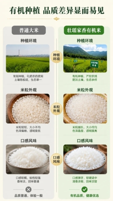 使用商品详情页技能根据商品图「图片1」生成详情页，参考图为「图片1」，商品名称为壮瑶家香有机大米，卖点为- 有机认证：官方有机资质认证，全程生态种植 -  高山产地：连山壮瑶生态产区，自然水土滋养 -预览效果