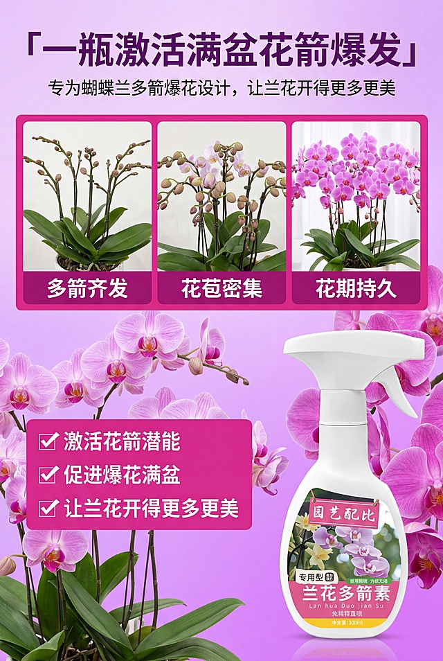 [第6屏] 核心优势屏-产品核心价值深化展示，本屏参考【图2】排版结构。
[氛围/风格] 成果展示页，热烈鲜明风格，延续紫粉配色，突出爆花效果，商业摄影质感。
[元素布局] 顶部主标题，上半部分三格拼图展示多箭齐发、花苞密集、花期持久三种效果，下半部分左侧三大核心优势勾选列表，右侧放置产品瓶身，整体构图饱满重点突出。本屏使用【图5】展示产品主体。
[光影质感] 整体光线明亮，背景花丛清晰突出，产品瓶身光影自然，立体层次感强。
[配色色系] 浅紫到玫粉渐变背景，深紫标题，玫粉色优势色块，白色文字，对比清晰醒目。
[视角构图] 上下分层，上图下文+左文右图结构，信息分区明确。
[文字版式] 顶部主标题「一瓶激活满盆花箭爆发」，副标题「专为蝴蝶兰多箭爆花设计，让兰花开得更多更美」。上方三张效果图分别标注「多箭齐发」「花苞密集」「花期持久」。左下核心优势列表：✅激活花箭潜能✅促进爆花满盆✅让兰花开得更多更美。右侧产品「兰花多箭素 兰花专用 免稀释直喷」，文字清晰不遮挡产品。
[比例分辨率] 2:3竖版比例，4K分辨率，文字清晰可辨，高清画质。
[负向提示词] 产品变形，包装文字错乱，图片重叠，文字模糊，颜色偏差