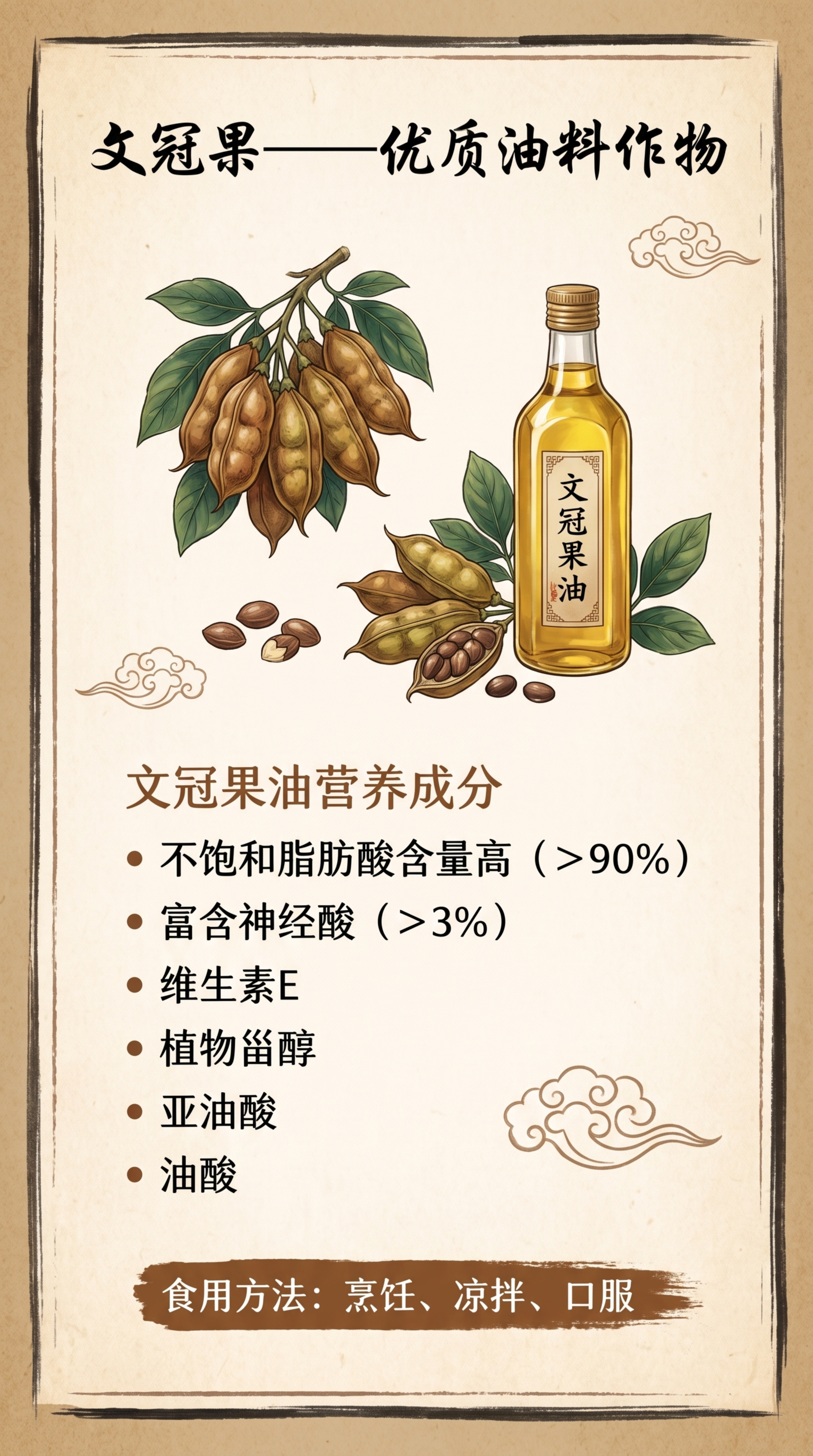 竖版笔记本彩页，主题是文冠果的食用价值，延续第一张的国风风格，… - 图片创意预览