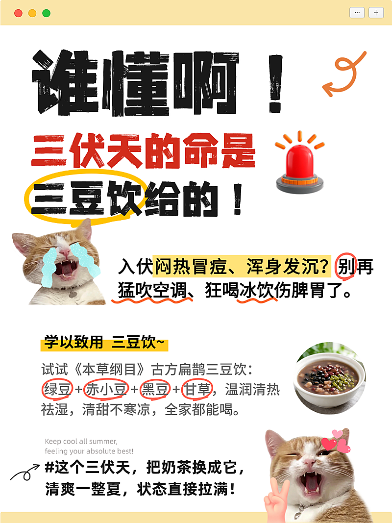 三伏天饮品三豆饮三豆汤去暑降温科普夏季调理身体小红书封面