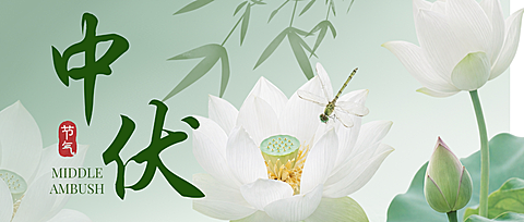 三伏天中伏问候祝福清新中式感微信公众号首图
