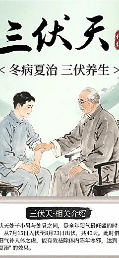 中式水墨插画风三伏天养生知识分享长图海报