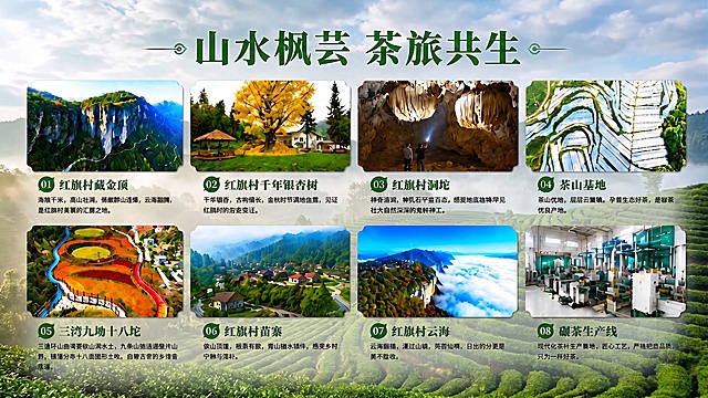 将整张海报的背景底色换成茶山背景，体现出茶叶的生态氛围感，保留海报原本的所有文字、图片框和内容不变，只修改整体背景