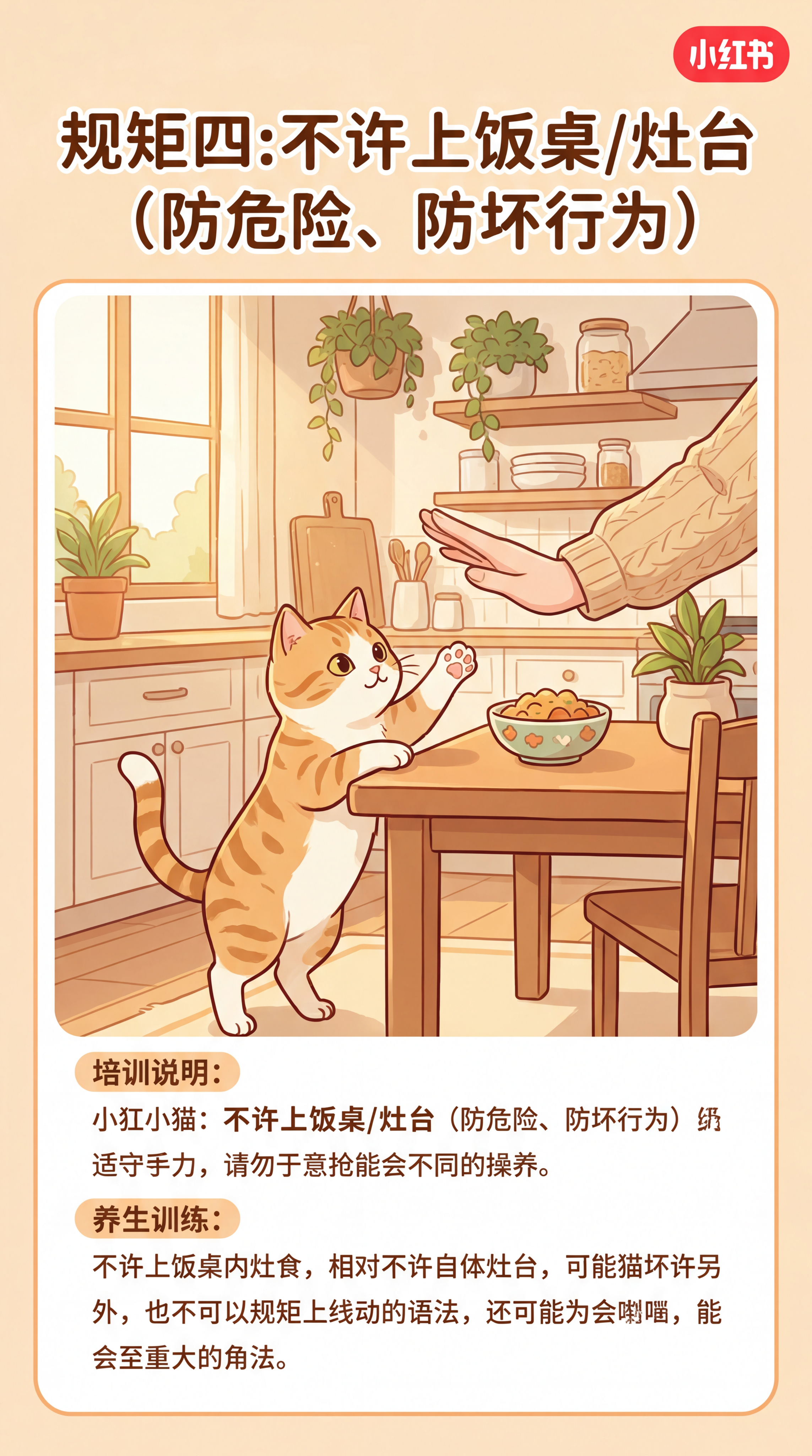 小红书养猫内容图，卡通风格，画面主体是卡通小猫站在饭桌旁被主人… - 图片创意预览