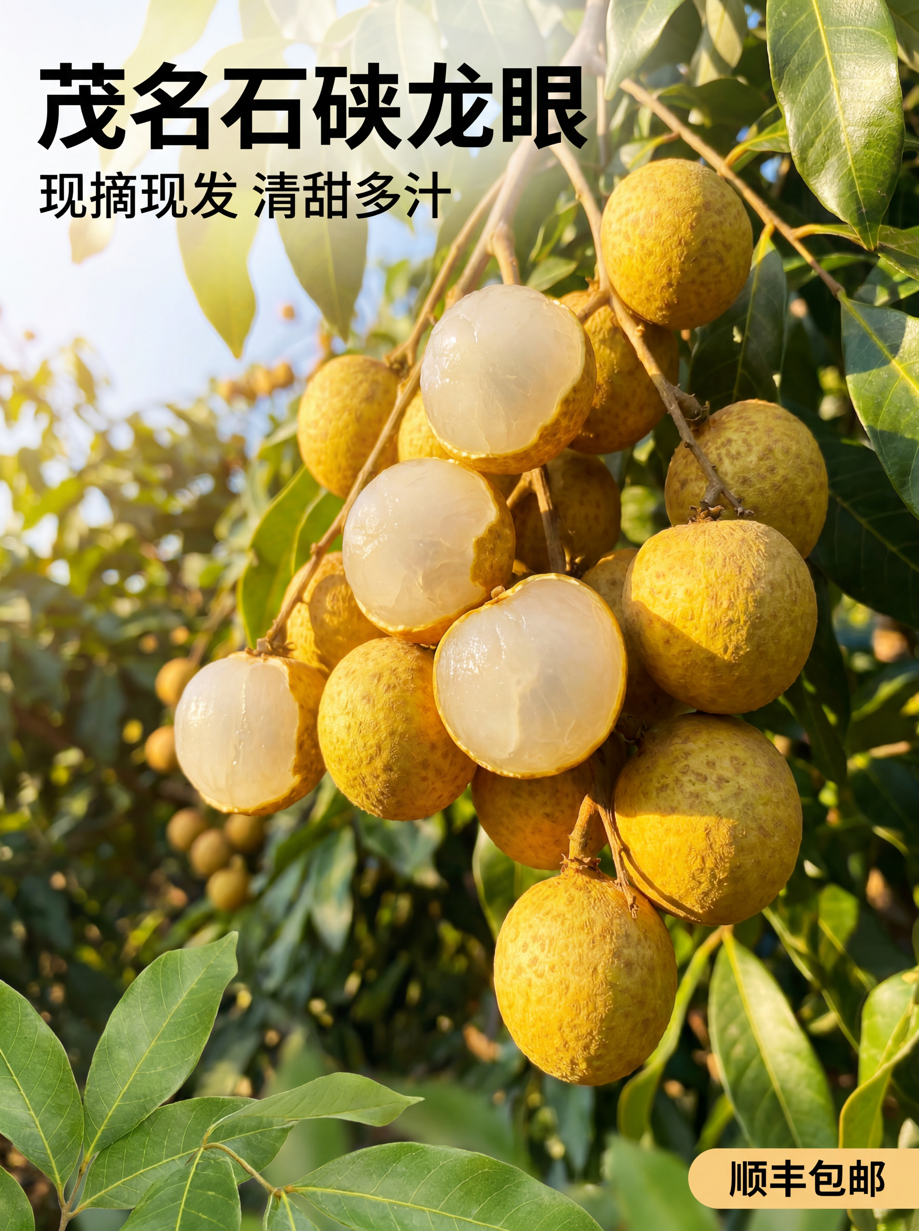 「图片1」「图片1」「图片1」「图片1」「图片1」「图片1」「… - 图片创意预览