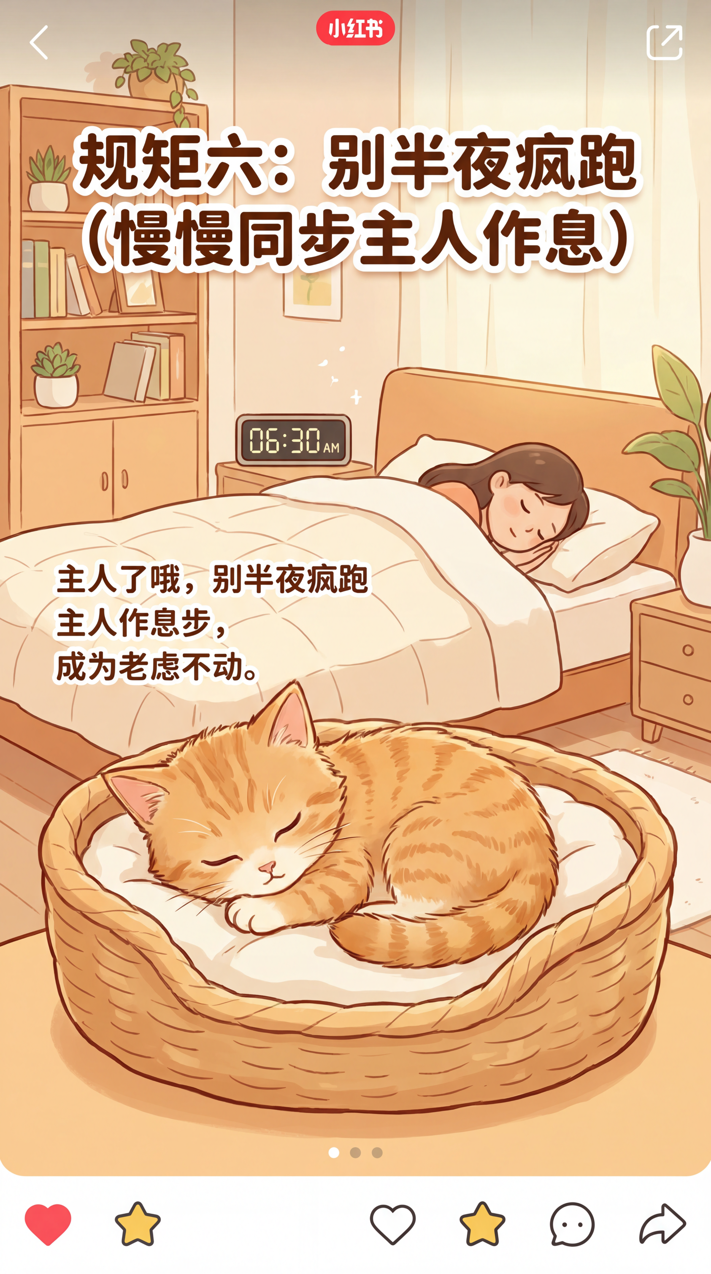 小红书养猫内容图，卡通风格，画面主体是小猫安静窝在猫窝睡觉，和… - 图片创意预览