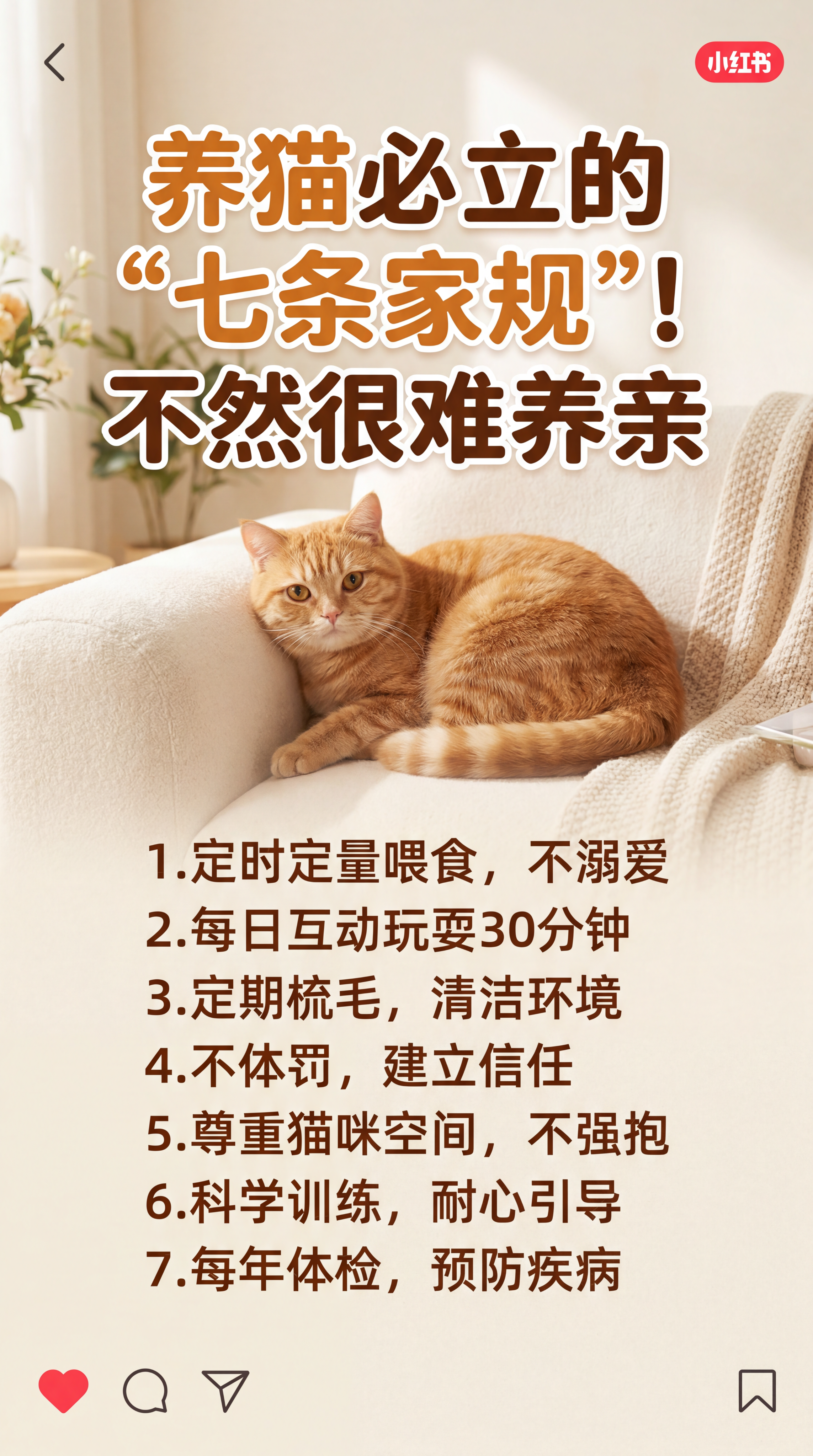 小红书养猫知识分享封面图，暖色系温馨风格，主体是一只可爱的橘猫… - 图片创意预览