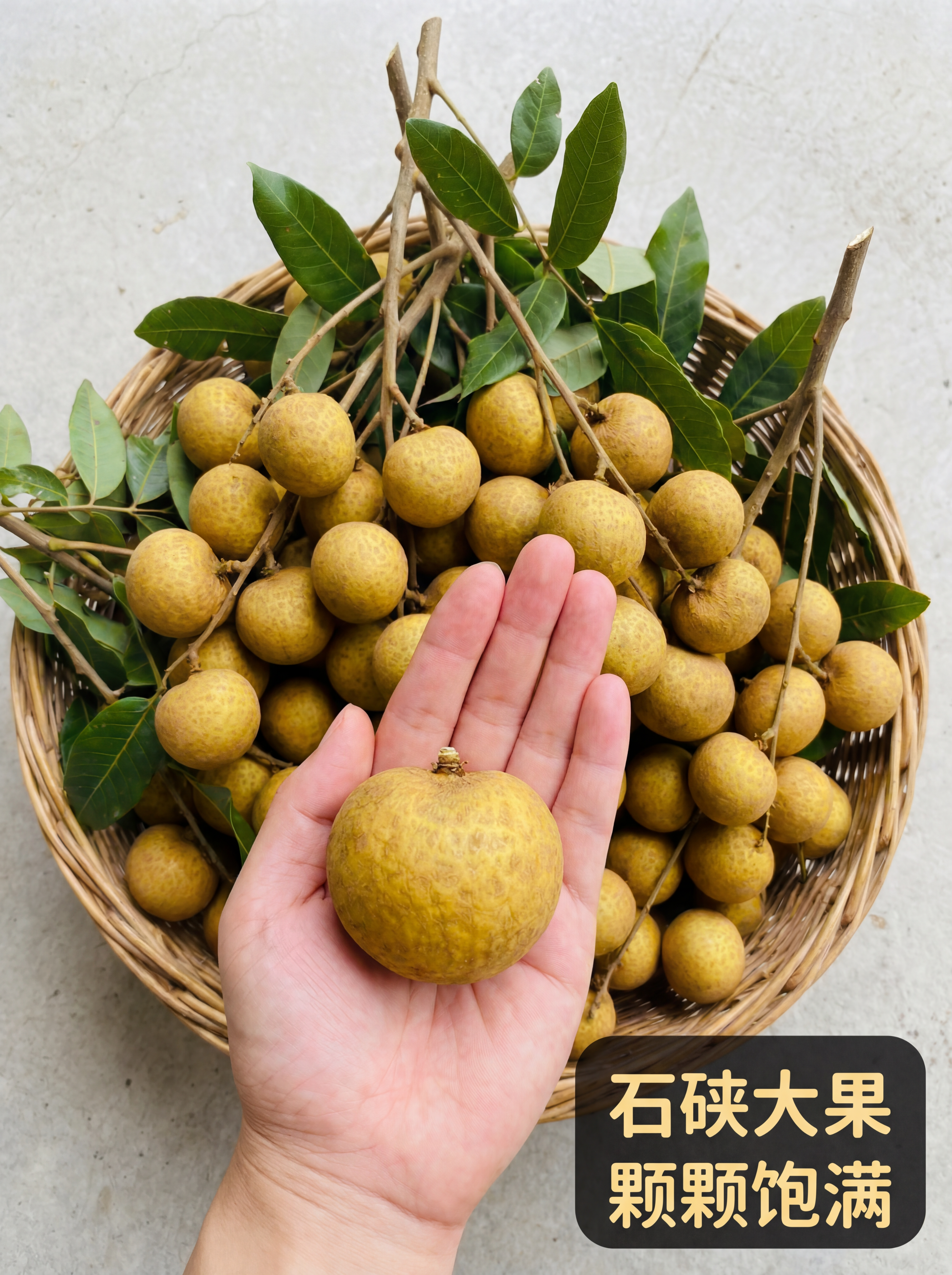 「图片1」「图片1」「图片1」「图片1」「图片1」「图片1」「… - 图片创意预览