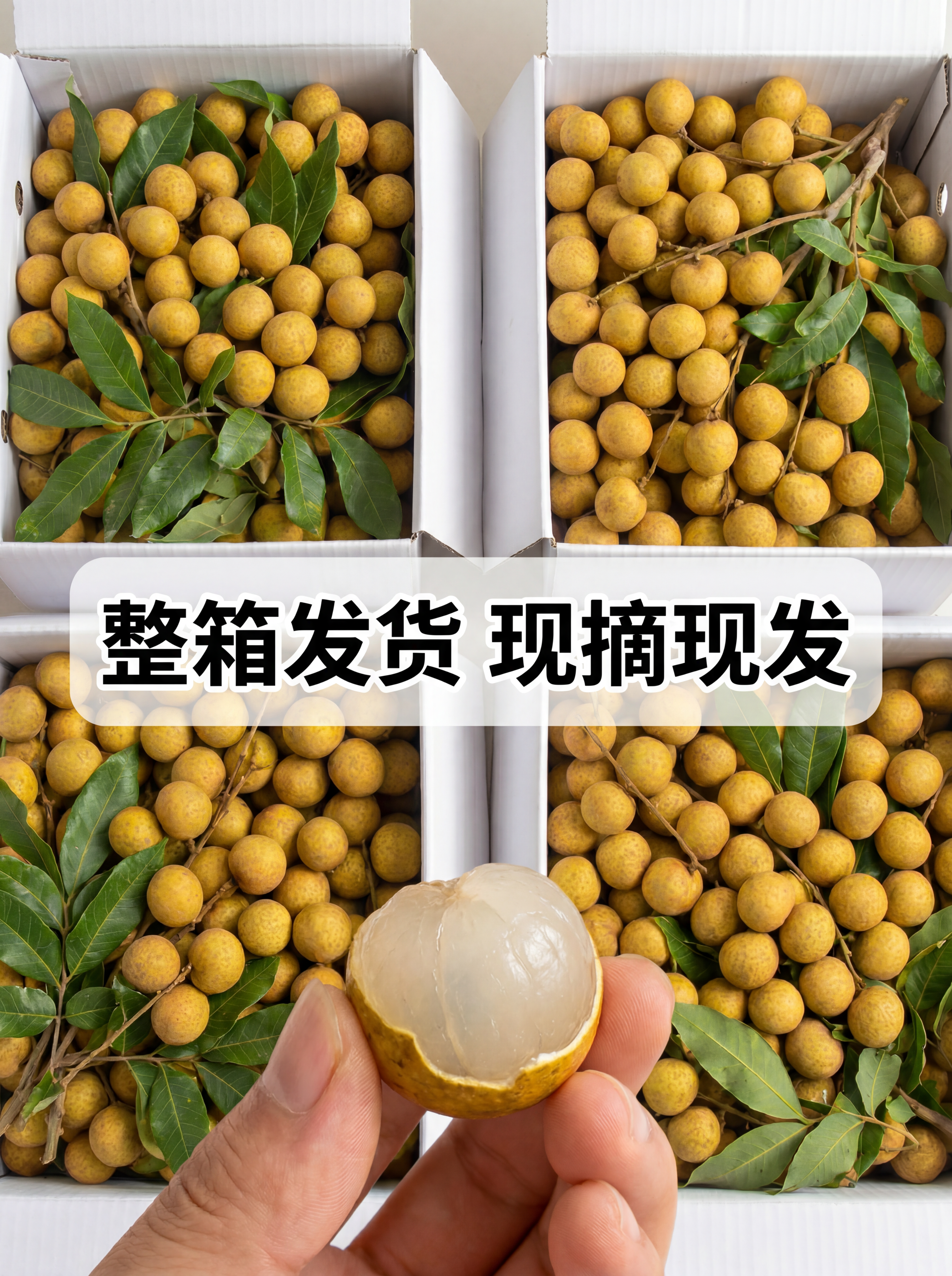 「图片1」「图片1」「图片1」「图片1」「图片1」「图片1」「… - 图片创意预览