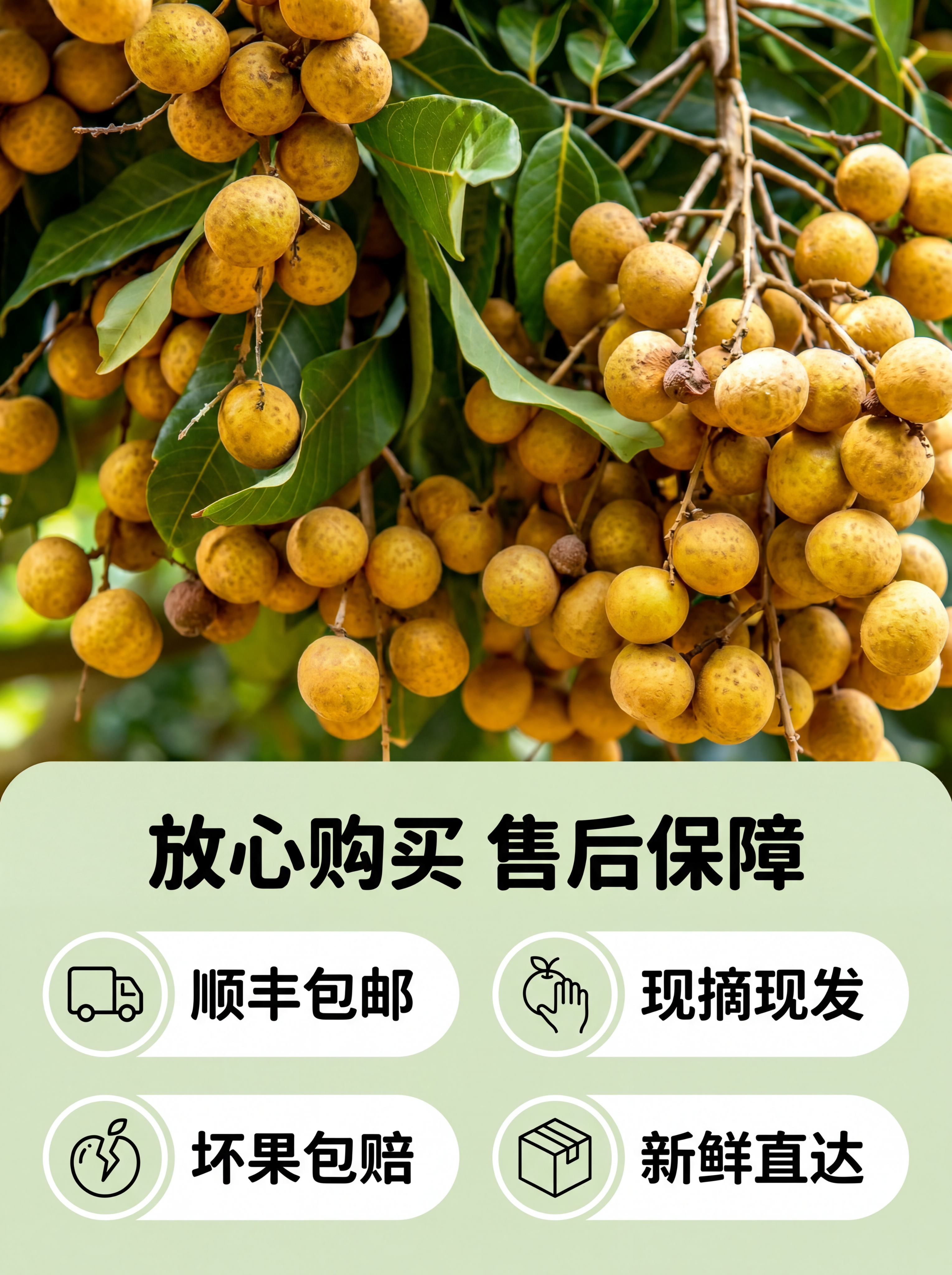 「图片1」「图片1」「图片1」「图片1」「图片1」「图片1」「… - 图片创意预览