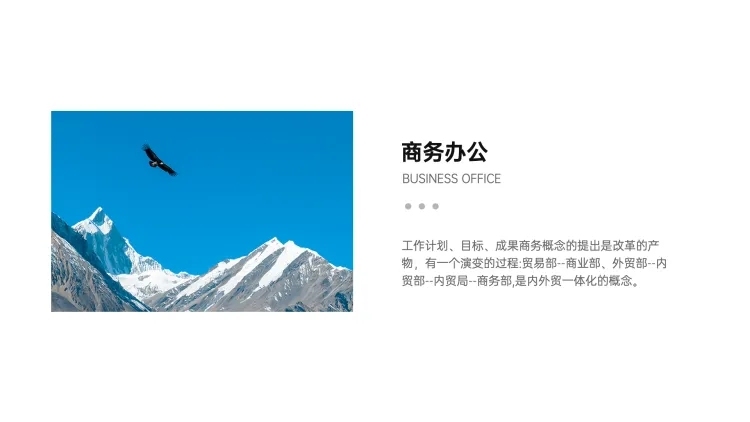 并列关系1项PPT图文页预览效果