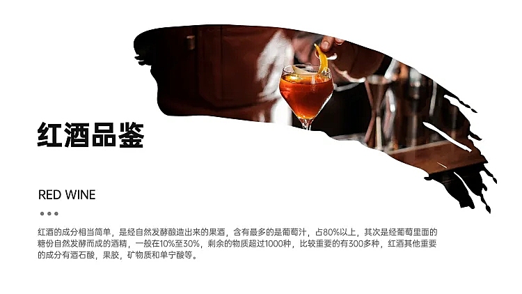并列关系1项PPT图文页