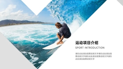 并列关系1项PPT图文页