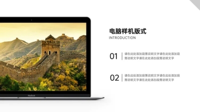 并列关系2项PPT图文页
