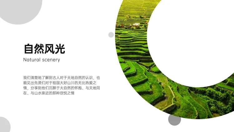 并列关系1项PPT图文页预览效果