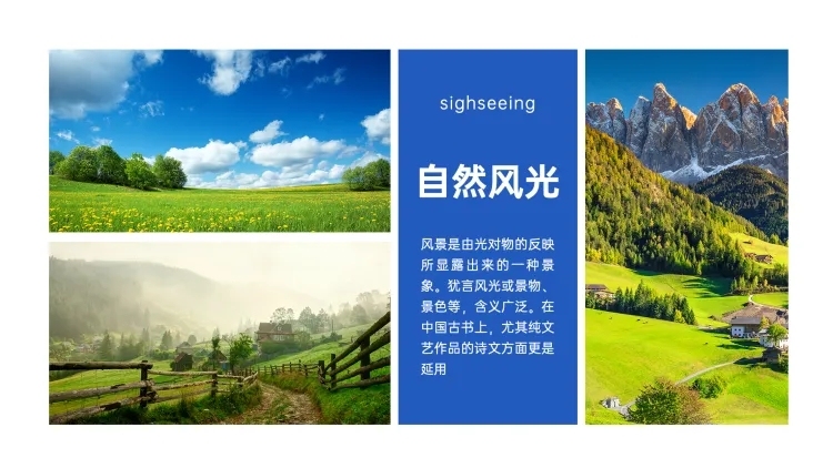 并列关系1项PPT图文页预览效果