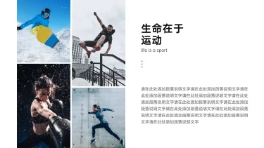 并列关系1项PPT图文页