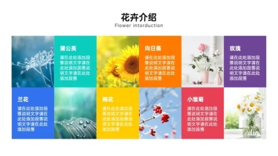 并列关系6项PPT图文页