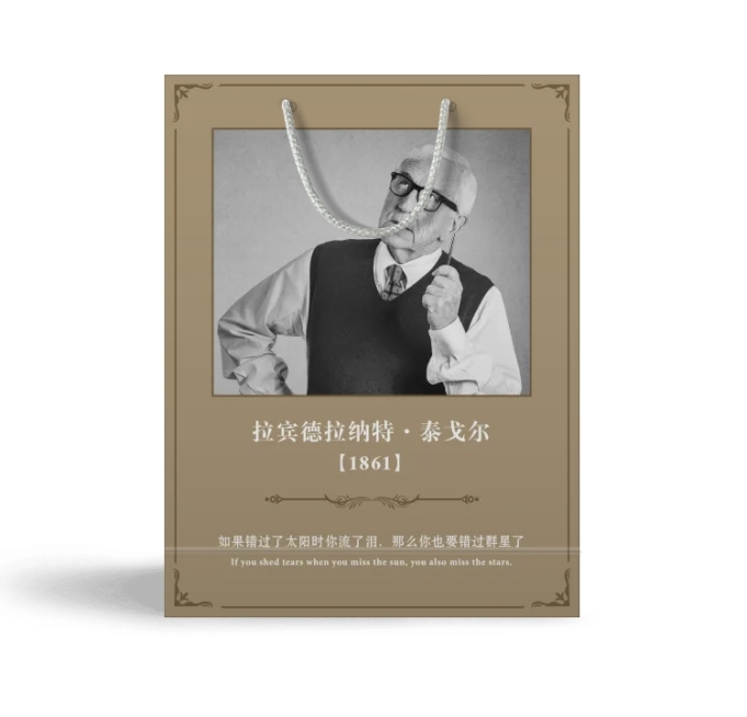 书店手提袋活动购物袋预览效果