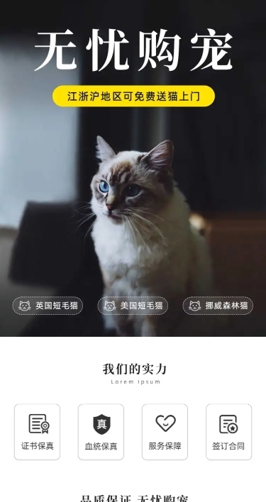简约高级宠物售卖店铺首页