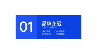 简约企业产品介绍PPT过渡页