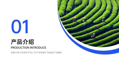 企业产品介绍PPT过渡页