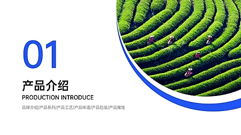 企业产品介绍PPT过渡页