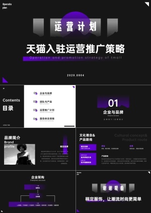 电商入驻运营推广策略PPT