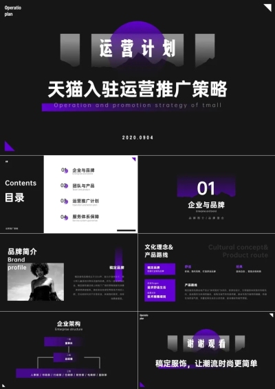 电商入驻运营推广策略PPT