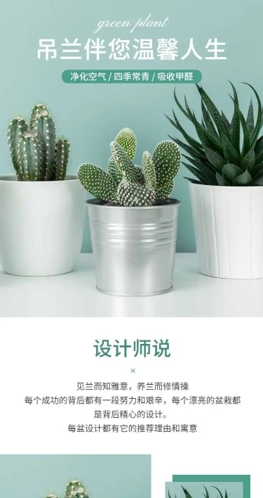 清新简约盆栽详情页