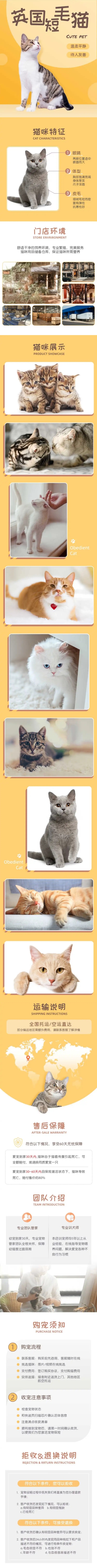 点击进入编辑 宠物猫咪售卖详情页预览效果