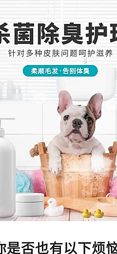 简约宠物洗护用品详情页