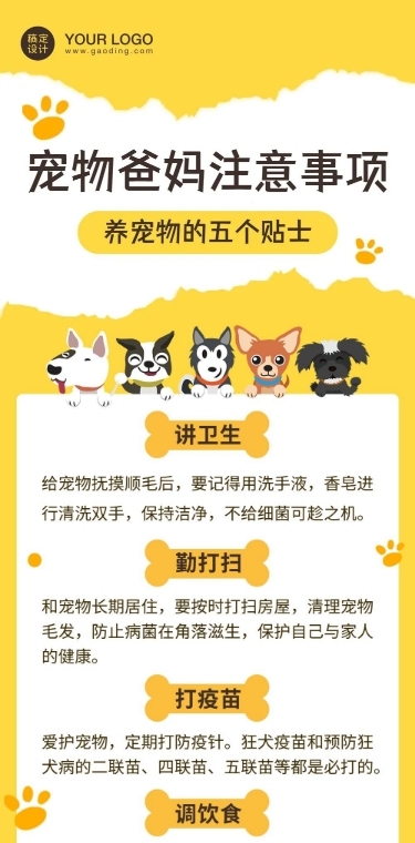 宠物萌宠可爱注意事项文章长图