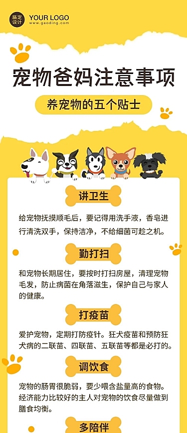 宠物萌宠可爱注意事项文章长图