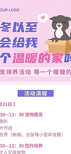 宠物萌宠领养公益活动流程文章长图