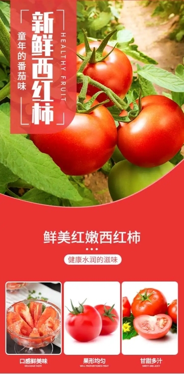 食品生鲜蔬菜西红柿详情页