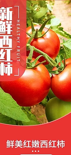 食品生鲜蔬菜西红柿详情页