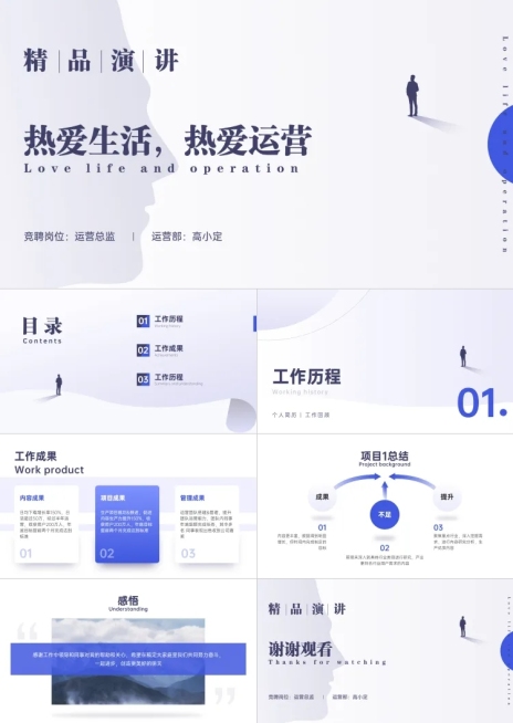 总结汇报述职PPT预览效果
