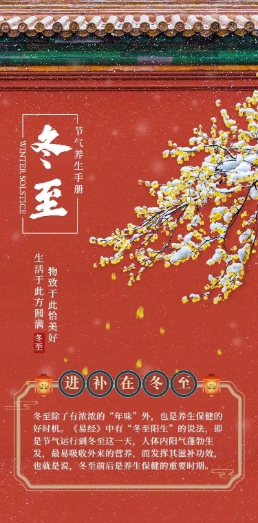 H5长页冬至养生手册健康保健节气