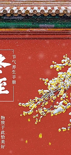 H5长页冬至养生手册健康保健节气