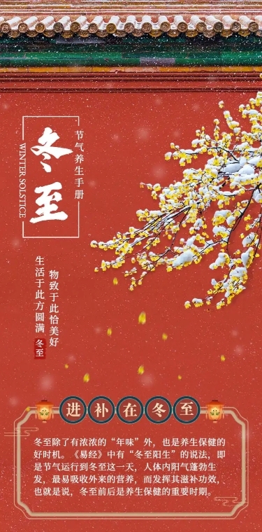 至养生手册健康保健节气长图